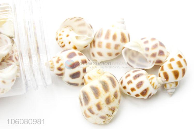 Hot selling natural sea shells for necklace pendant craft making