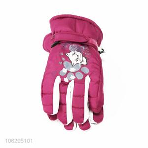 Promotional Item Winter Ski Snowmobile Gloves