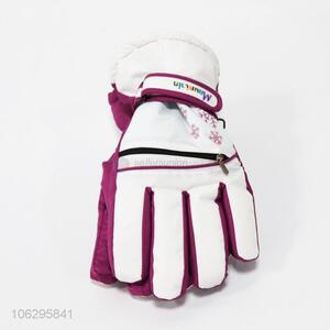Factory Sales Winter Ski Snowmobile Gloves
