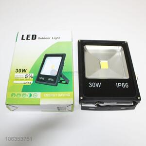 Factory Price 30W LED Outdoor Light