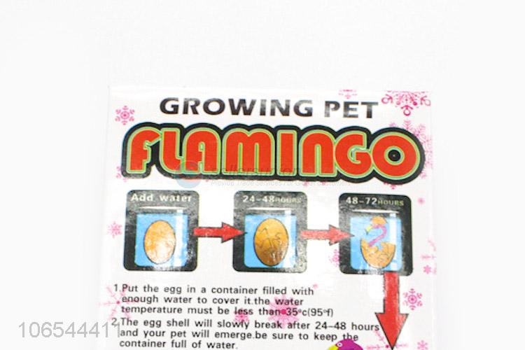 Colorful Flamingo Magic Growing Hatching Pet Egg Toy