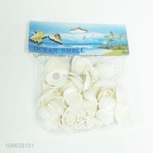 Wholesale natural craft sea shells for jewelry necklace decoration