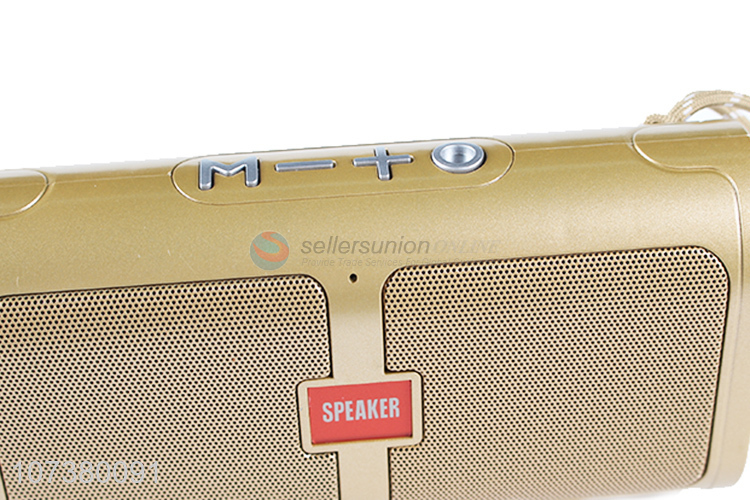 Professional Multifunction Wireless Bluetooth Speaker Support TF Card FM Radio AUX USB