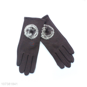 Reasonable Price Mirco Velvet Gloves Winter Warm Women Gloves