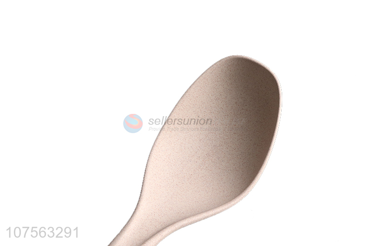 Contracted Design Rose Gold Stainless Steel Handle Straw Solid Spoon