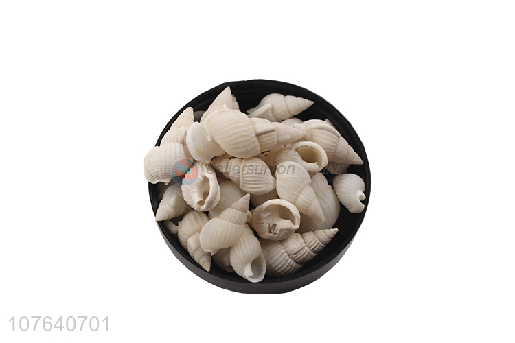 Factory direct sea view layout big white rice snail