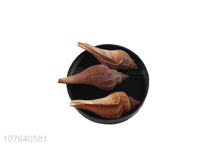 Good sea view ornaments pointed red incense snail decoration