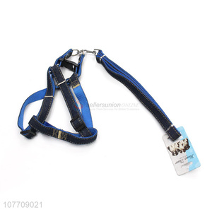 New arrival blue petsdurable leash with high quality