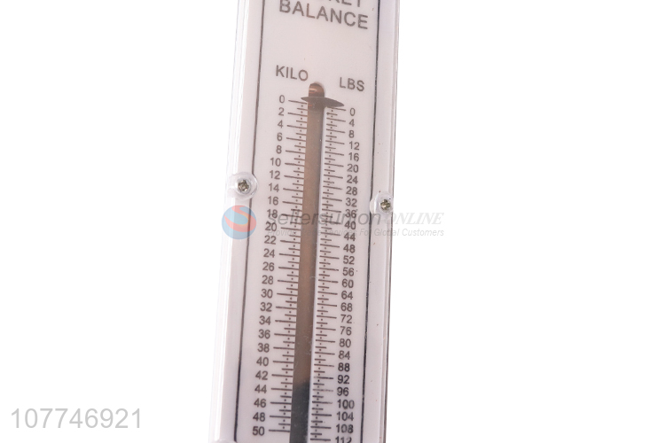 Factory price 50kg pocket balance weighing scale with rustproof case