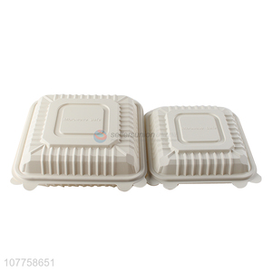 Disposable meal fast food pp takeaway food packaging boxes