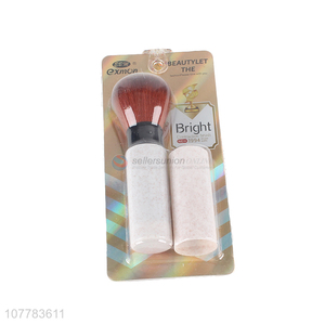 China factory practical makeup brush blush brush with cover