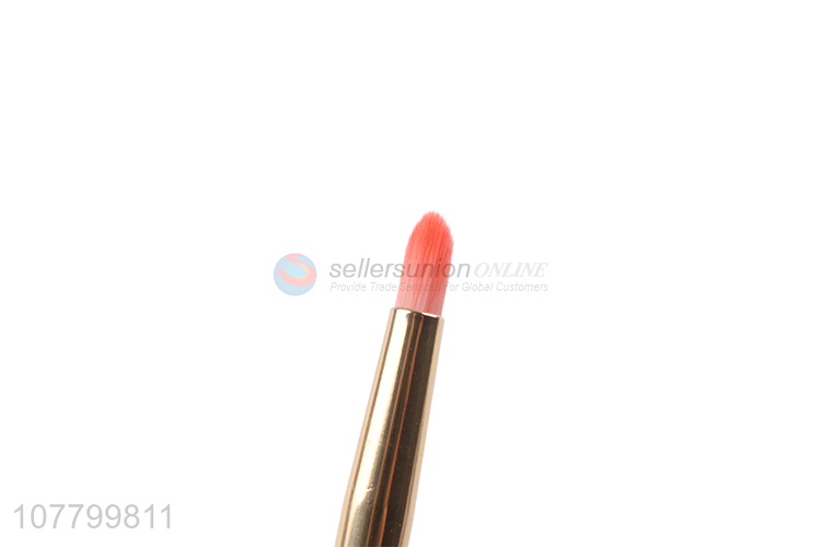 Factory supply free sample cosmetic makeup brush lip brush