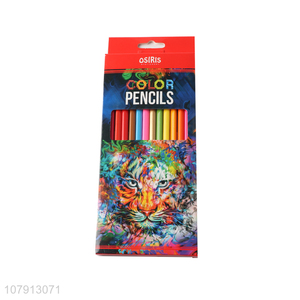 New product 12 color double-head pencils drawing pencils for children