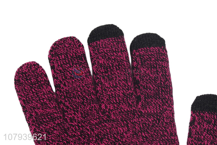 New Arrival Winter Warm Gloves Ladies Touch Screen Glove