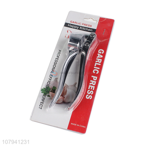 Professional silver stainless steel household kitchen garlic press wholesale