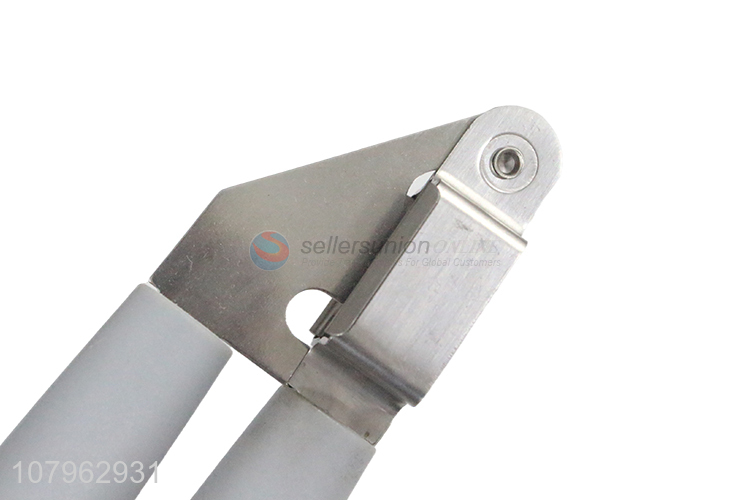 Hot selling household stainless steel garlic press tools wholesale