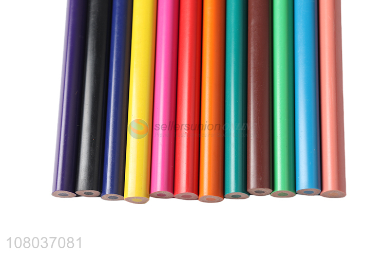 High Quality 12 Plastic Colored Thick Pencils Set