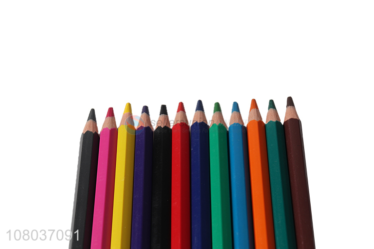 Best Quality 12 Pieces Plastic Colored Pencil Set