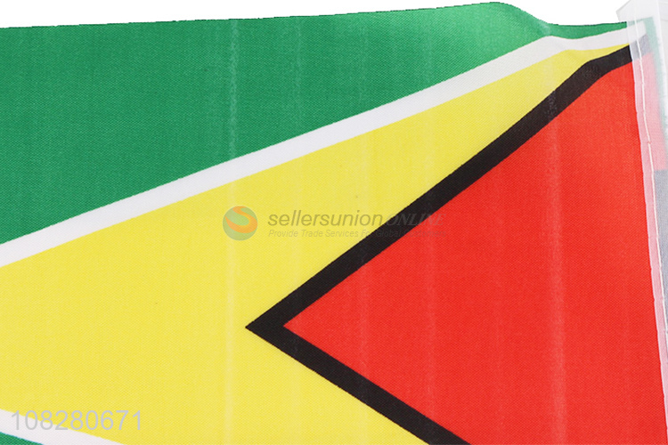 Online wholesale double-sided car flag Guyana country flags