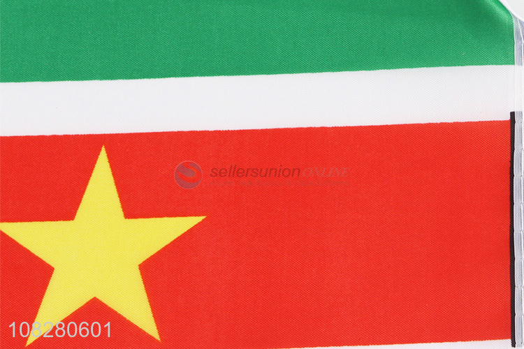 Factory Wholesale Polyester Flag Suriname Flag for Competition