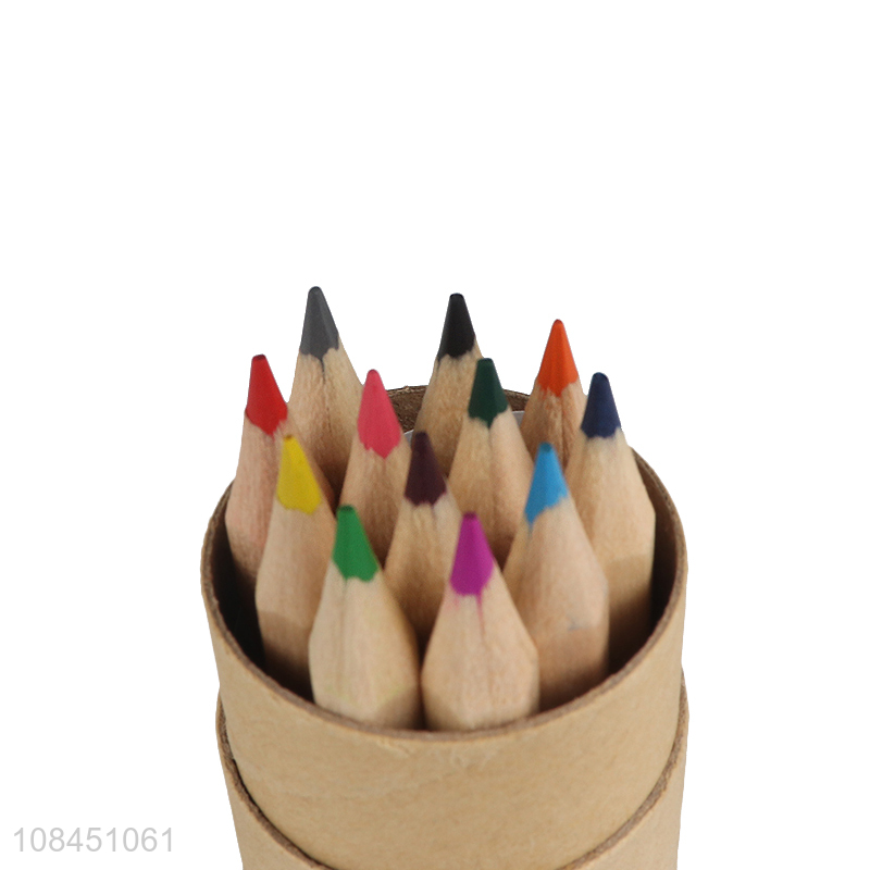 Wholesale art supplies 12pcs colored pencils in paper tube for drawing