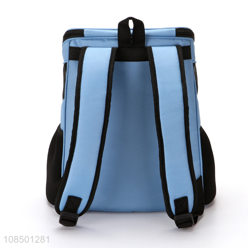 Latest products portable pets carrier bag backpack bag for sale