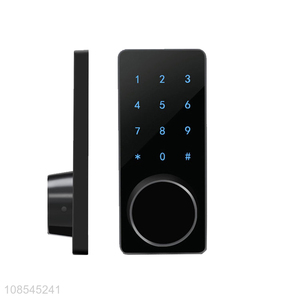 Wholesale anti-theft APP controlled wifi password lock full-automatic smart lock