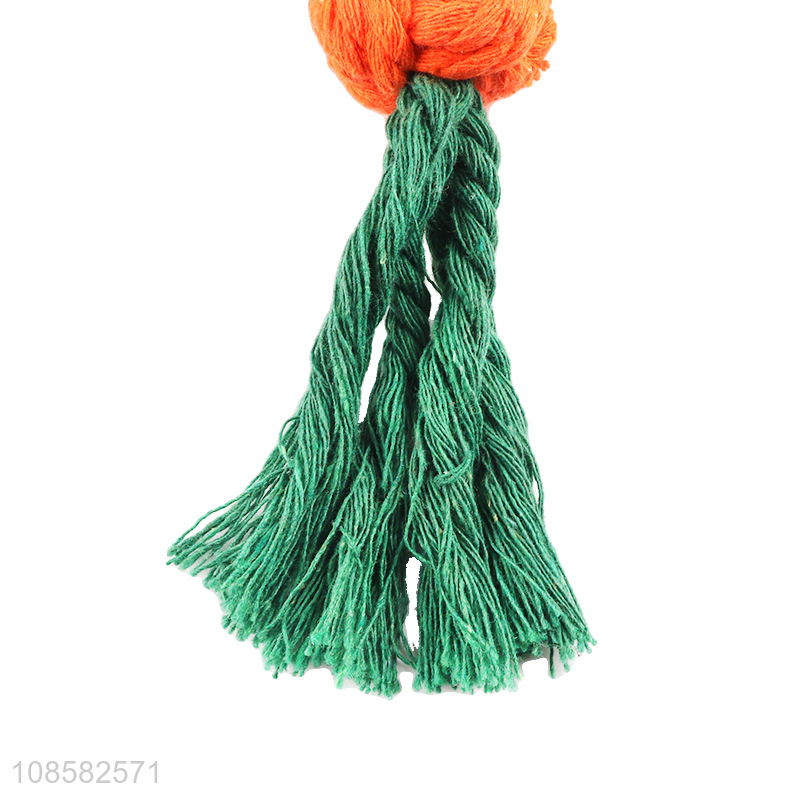 Most popular braided carrot dog chew toy teething toy