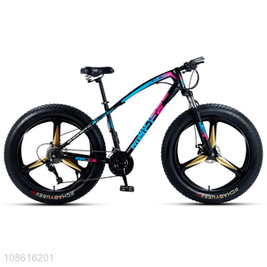 Hot selling 26 inch 24 speed high-carbon steel frame snow bike for adults