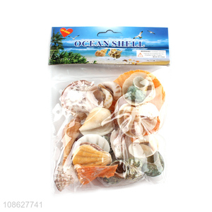 Hot selling multiple shells shell craft aquarium ornaments
