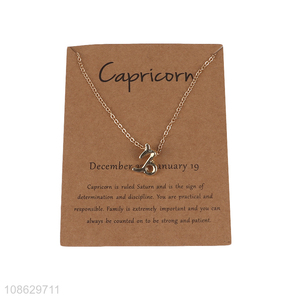 Top products zodiac sign pendant necklace for jewelry accessories