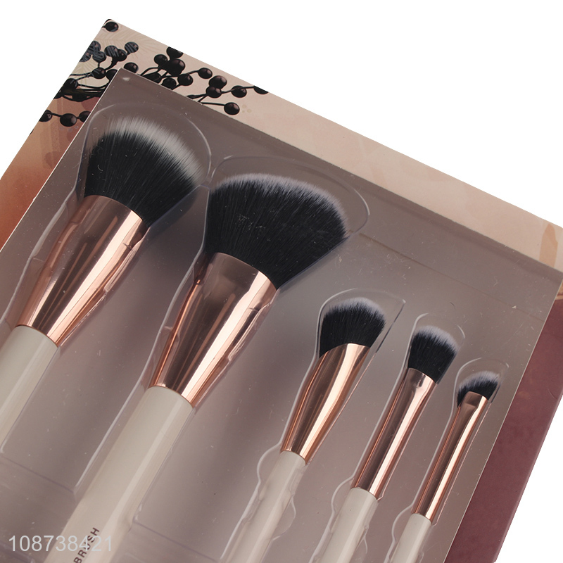 Private label 5pcs makeup brush set powder brush concealer brush