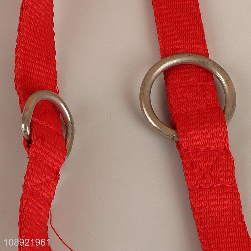 New Product Durable Dog Collar and Leash Set for Large Dogs