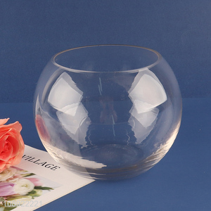 Best selling hydroponic transparent glass vase for home decor