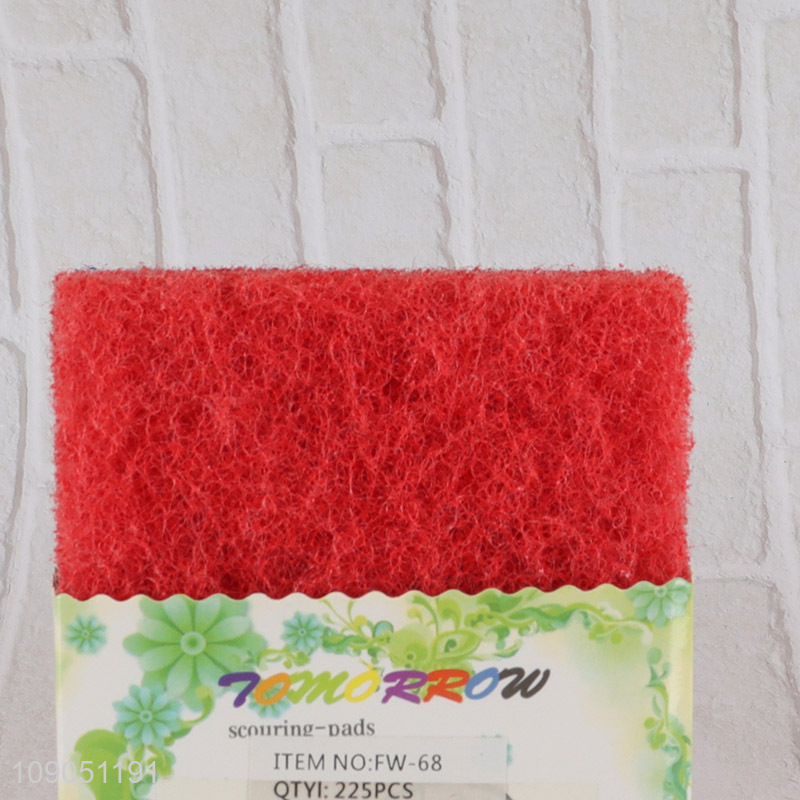 Hot Selling 2 Pieces Durable Non-Scratch Scouring Pads for Indoor Outdoor Use