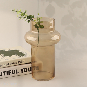 China wholesale modern style indoor decor glass <em>flower</em> <em>vase</em> hydroponic <em>vase</em>