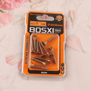 New Arrival 10 Pieces Self Tapping Screw Set Iron Self Tapping Screws Set