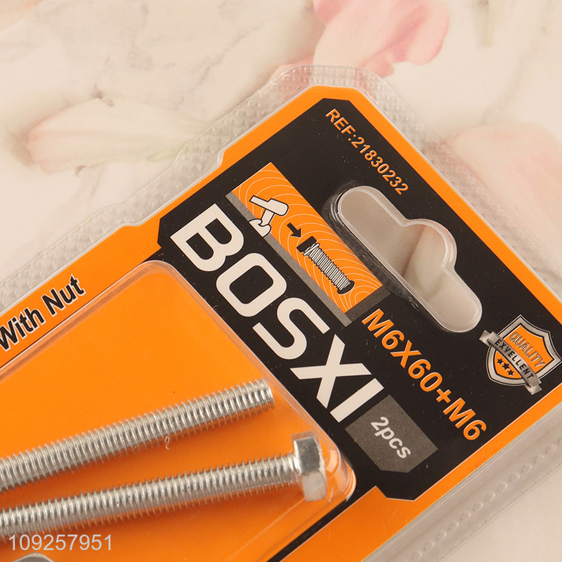 Factory Price 2 Pieces M6 Iron Screws and Nuts Set Hardware Assortment Kit