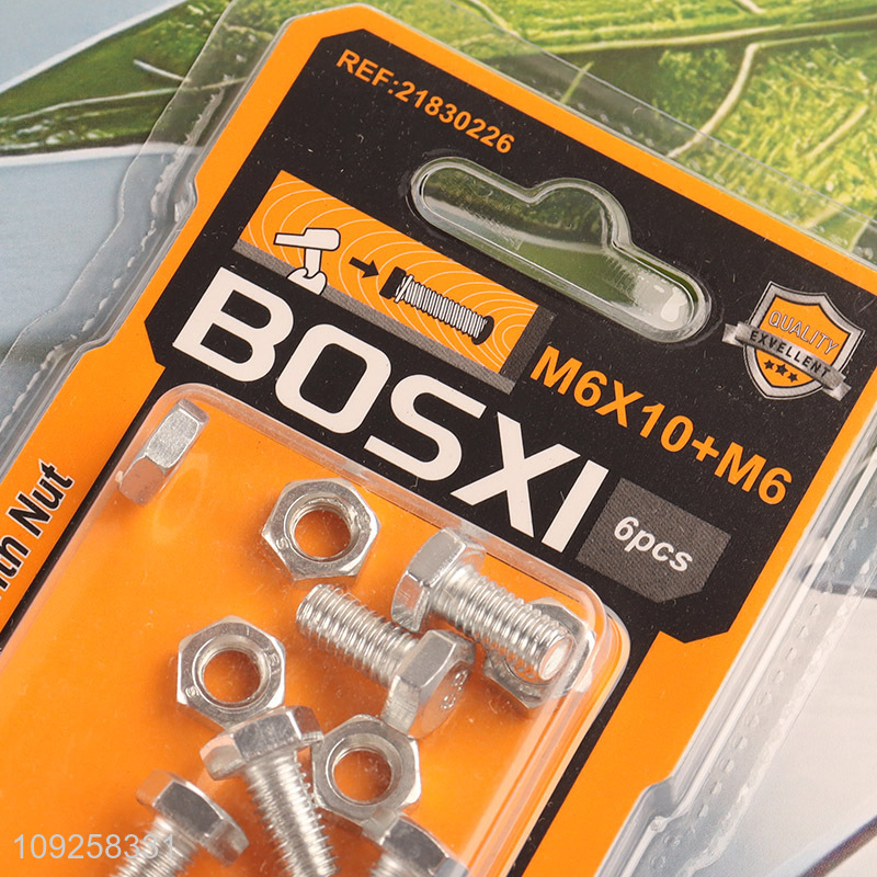 Factory Supply 6 Pieces M6 Iron Screws and Nuts Set Hardware Assortment Kit