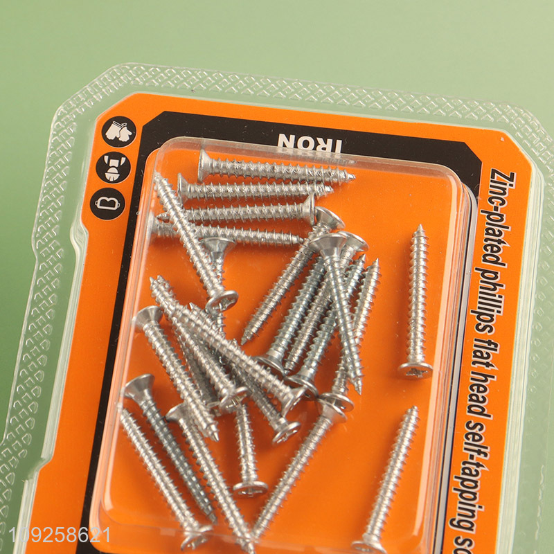 Good Quality 20 Pieces Self Tapping Screw Set Iron Self Tapping Screws Set