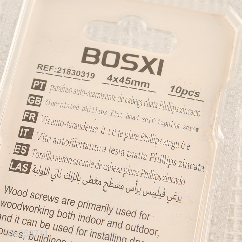 Good Quality 10 Pieces Self Tapping Screw Set Iron Self Tapping Screws Set