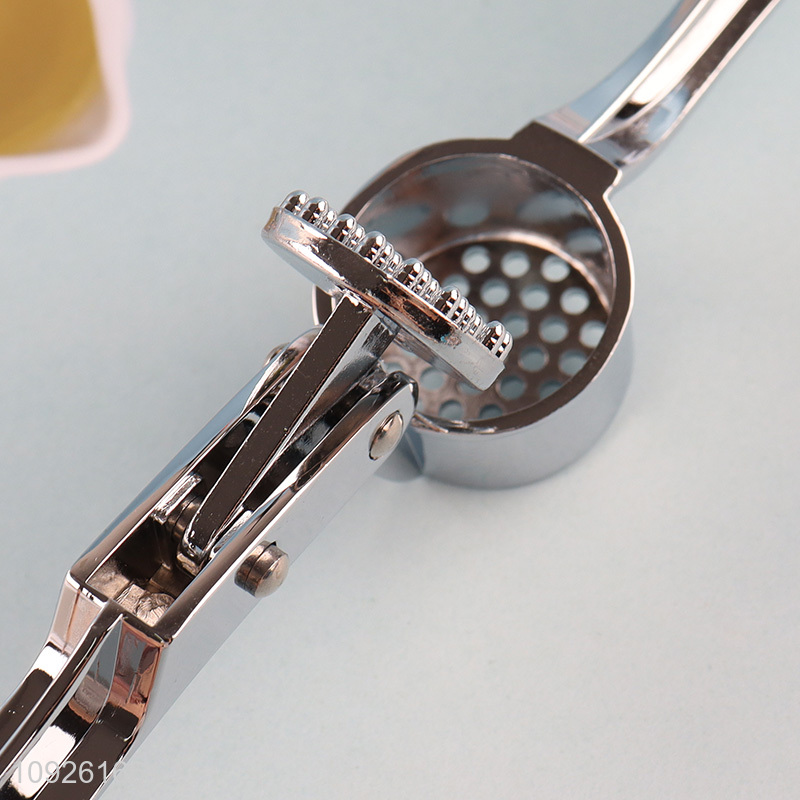 Factory Supply 100% Zinc Alloy Garlic Press Manual Garlic Masher Mincer