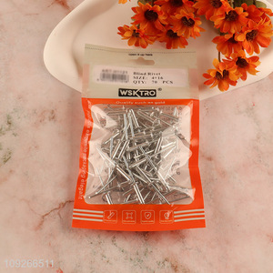 Low Price 70PCS 4*16mm Blind Rivets Pop Rivets for Automobile Construction