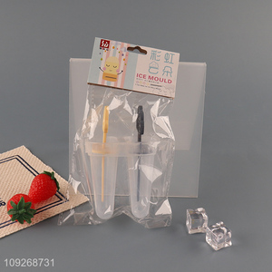 China supplier 2pcs plastic home kitchen diy ice pop mold ice cream mold for sale