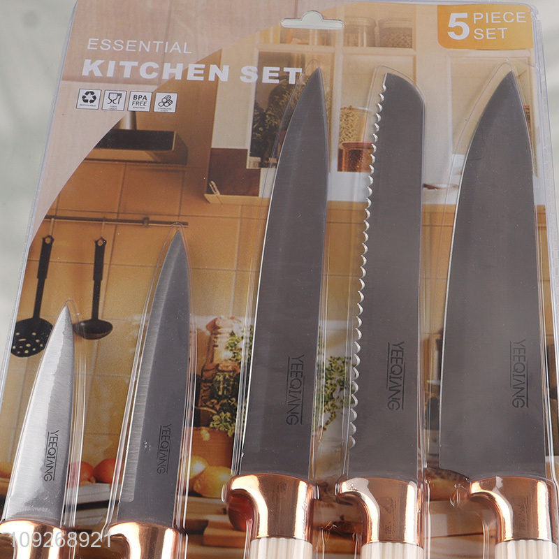 China Imports 5 Pieces Stainless Steel Kitchen Knives Multi-Purpose Knives Set
