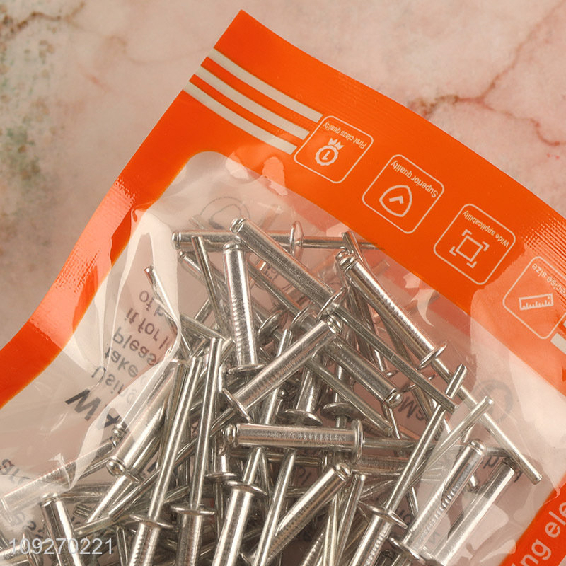 High quality professional 60pcs 4*20mm blind rivet hardware iron nail