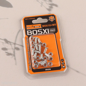 Good Quality Iron Screws and Nuts Set Fastener Kit