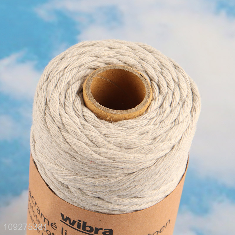 Hot products multicolor diy packaging rope