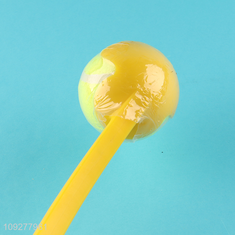 New arrival outdoor pet interactive pet throwing ball toys