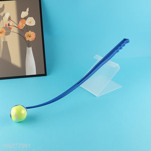 Low price outdoor pet throwing ball toys pet training toys